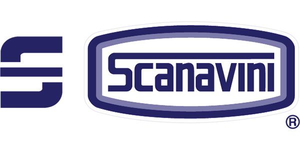 Scanavini