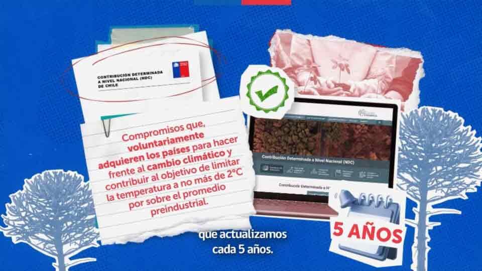 WWF – Gobierno de Chile