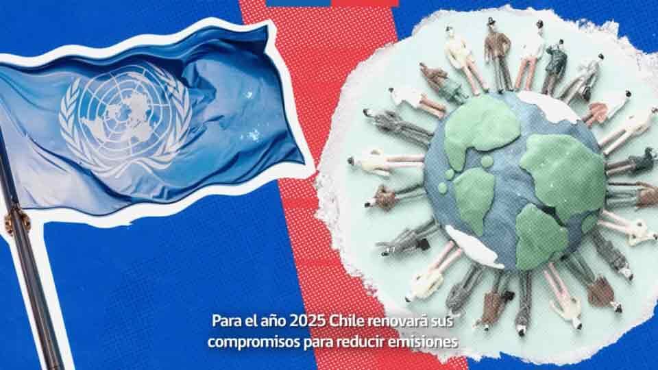 WWF – Gobierno de Chile