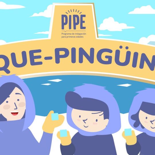 Pipe Pequepingüinos EN