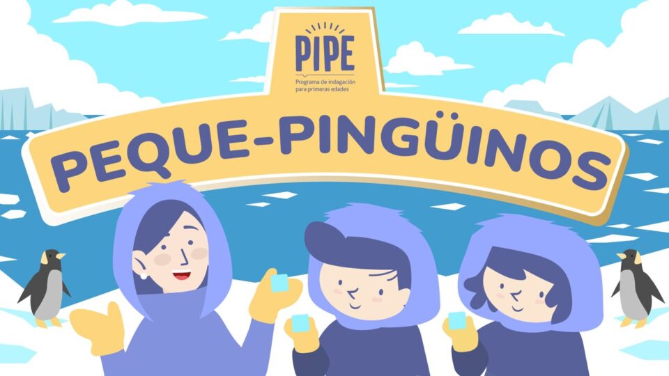Pipe Pequepingüinos EN